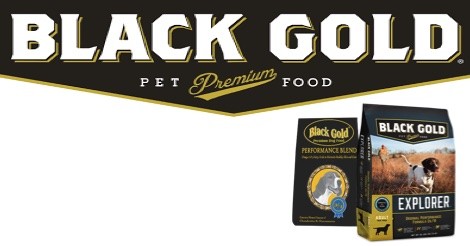 Black Gold Dog Food Review (2022)