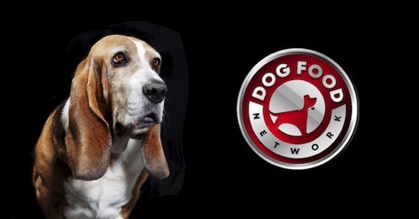 The Best Dog Food Brands For a Basset Hound 2022