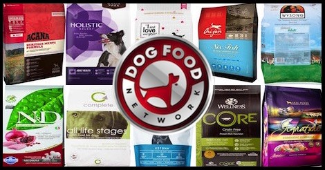The 10 Best Dog Food Brands For Diabetes 2023