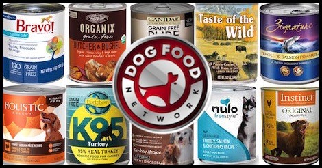 The 10 Best Grain-Free Wet Dog Food Brands For 2022