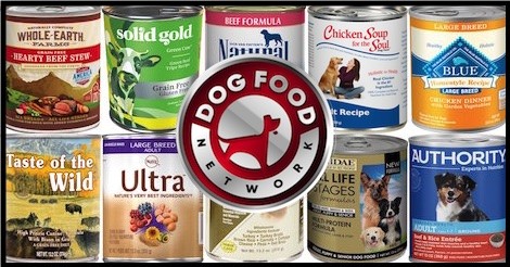 The 10 Best Large Breed Wet Dog Food Brands For 2022