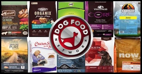 The 10 Best Senior Dry Dog Food Brands For 2022