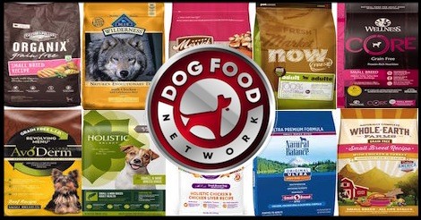 The 10 Best Small Breed Dry Dog Food Brands For 2023
