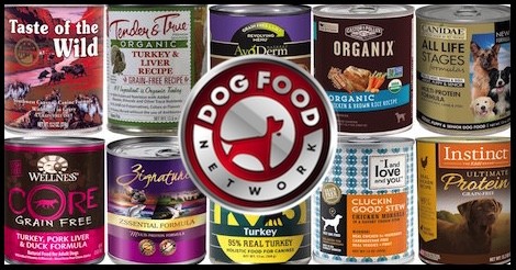 The 10 Best Wet Dog Food Brands For 2022