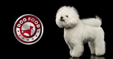 The Best Dog Food Brands For a Bichon Frise 2023