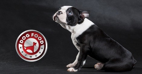 The Best Dog Food Brands for a Boston Terrier 2023