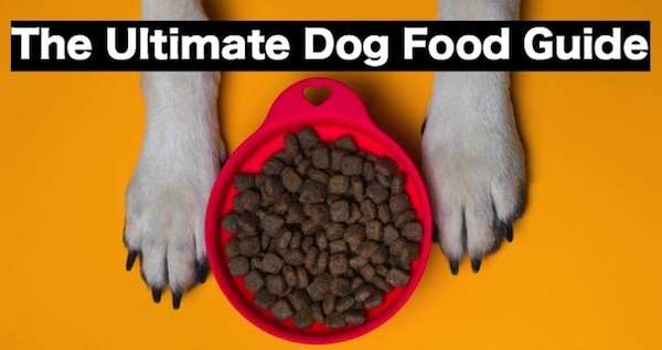 safest dog food 2019