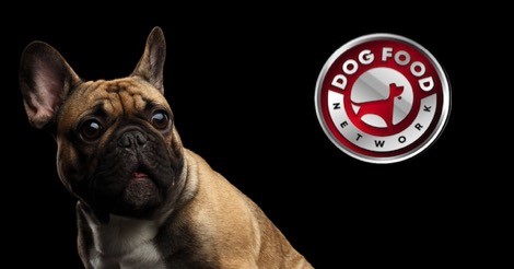 The Best Dog Food Brands For a French Bulldog 2023