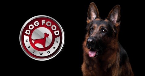 The Best Dog Food Brands For a German Shepherd 2023