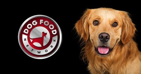 The 5 Best Dog Food Brands for a Golden Retriever 2022