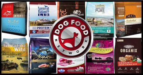 The 10 Best Grain-Free Dry Dog Food Brands For 2022