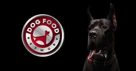 The Best Dog Food Brands For a Great Dane 2022