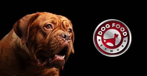 The Best Dog Food Brands For a Mastiff 2023