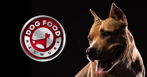 The Best Dog Food Brands For a Pitbull 2023