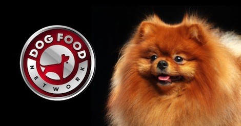The Best Dog Food Brands For a Pomeranian 2023