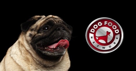 The Best Dog Food Brands For a Pug 2023