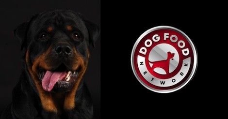 The Best Dog Food For a Rottweiler 2023