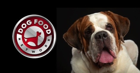 The Best Dog Food Brands For a Saint Bernard 2023