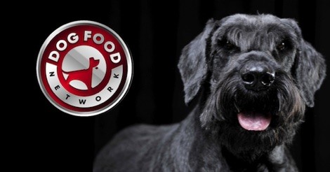 The Best Dog Food Brands For a Schnauzer 2022