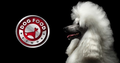 The Best Dog Food Brands For a Standard Poodle 2023