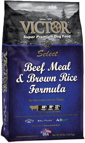 This image has an empty alt attribute; its file name is Victor-Select-Beef-Meal-Brown-Rice-Dry-Dog-Food.jpg