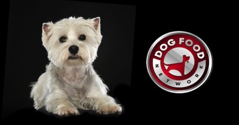 The Best Dog Food Brands For a Westie 2022