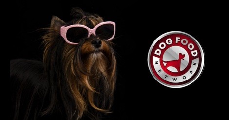 The Best Dog Food Brands for a Yorkie 2023